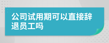 公司試用期可以直接辭退員工嗎