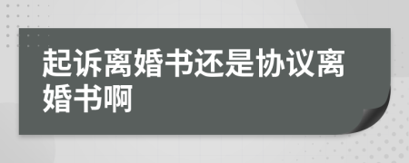 起訴離婚書還是協(xié)議離婚書啊