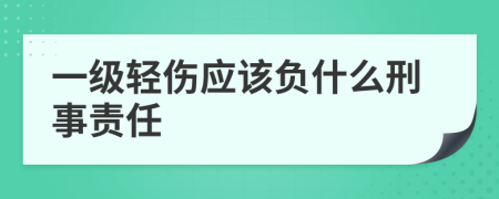 一級(jí)輕傷應(yīng)該負(fù)什么刑事責(zé)任