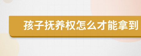 孩子撫養(yǎng)權怎么才能拿到