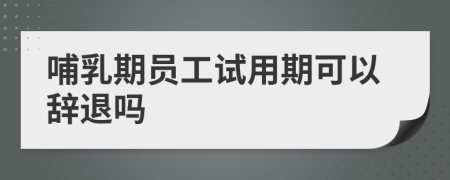 哺乳期員工試用期可以辭退嗎