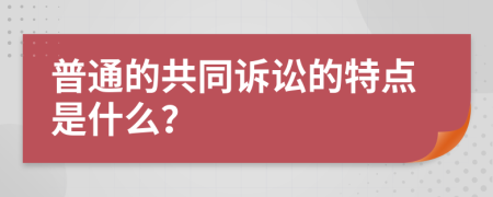 普通的共同訴訟的特點是什么？