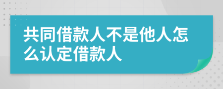 共同借款人不是他人怎么認定借款人
