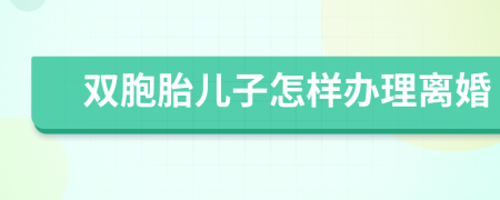 雙胞胎兒子怎樣辦理離婚