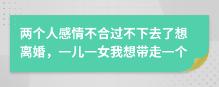 兩個人感情不合過不下去了想離婚，一兒一女我想帶走一個