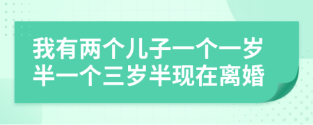我有兩個(gè)兒子一個(gè)一歲半一個(gè)三歲半現(xiàn)在離婚