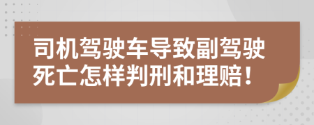 司機(jī)駕駛車導(dǎo)致副駕駛死亡怎樣判刑和理賠！