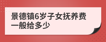 景德鎮(zhèn)6歲子女撫養(yǎng)費(fèi)一般給多少