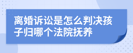 離婚訴訟是怎么判決孩子歸哪個法院撫養(yǎng)
