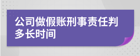 公司做假賬刑事責任判多長時間
