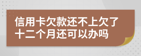 信用卡欠款還不上欠了十二個(gè)月還可以辦嗎