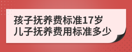 孩子撫養(yǎng)費(fèi)標(biāo)準(zhǔn)17歲兒子撫養(yǎng)費(fèi)用標(biāo)準(zhǔn)多少