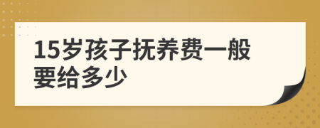 15歲孩子撫養(yǎng)費一般要給多少