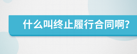 什么叫終止履行合同??？