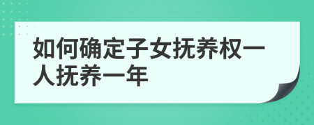 如何確定子女撫養(yǎng)權(quán)一人撫養(yǎng)一年