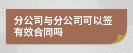 分公司與分公司可以簽有效合同嗎