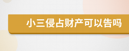 小三侵占財(cái)產(chǎn)可以告嗎