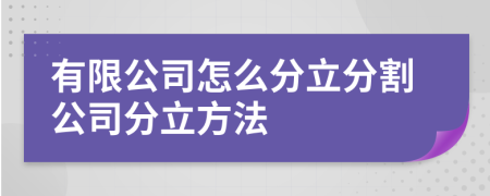 有限公司怎么分立分割公司分立方法