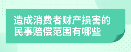 造成消費(fèi)者財(cái)產(chǎn)損害的民事賠償范圍有哪些