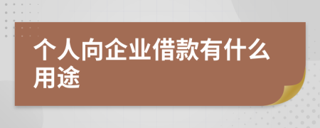 個人向企業(yè)借款有什么用途