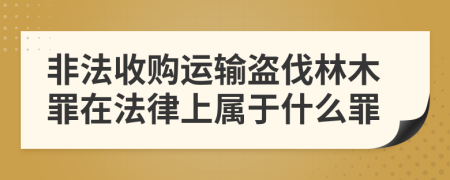 非法收購運輸盜伐林木罪在法律上屬于什么罪