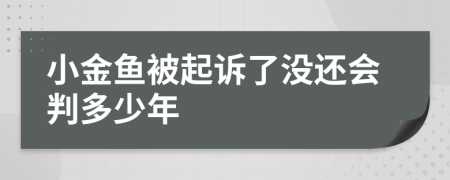 小金魚被起訴了沒還會判多少年