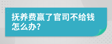 撫養(yǎng)費(fèi)贏了官司不給錢怎么辦？