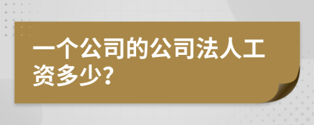 一個公司的公司法人工資多少？