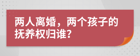 兩人離婚，兩個孩子的撫養(yǎng)權(quán)歸誰？
