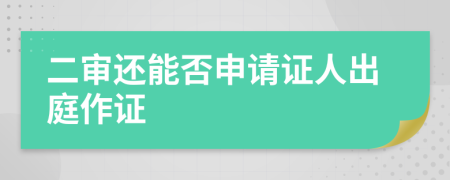 二審還能否申請證人出庭作證