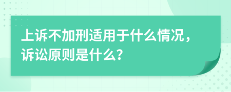 上訴不加刑適用于什么情況，訴訟原則是什么？