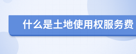 什么是土地使用權(quán)服務(wù)費