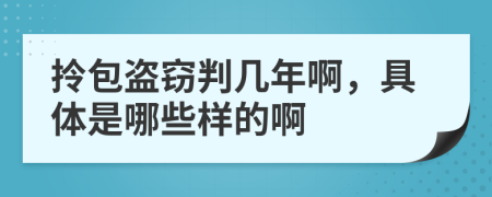 拎包盜竊判幾年啊，具體是哪些樣的啊