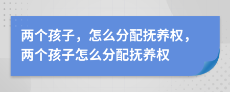 兩個(gè)孩子，怎么分配撫養(yǎng)權(quán)，兩個(gè)孩子怎么分配撫養(yǎng)權(quán)
