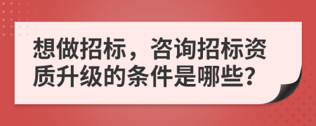 想做招標(biāo)，咨詢招標(biāo)資質(zhì)升級(jí)的條件是哪些？