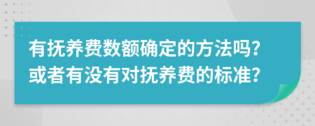 有撫養(yǎng)費數(shù)額確定的方法嗎？或者有沒有對撫養(yǎng)費的標準？