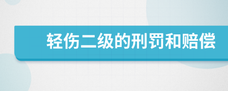 輕傷二級(jí)的刑罰和賠償