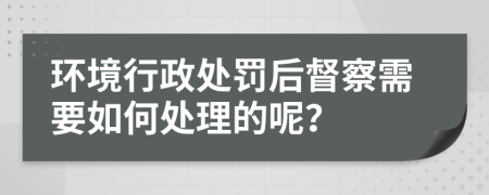 環(huán)境行政處罰后督察需要如何處理的呢？