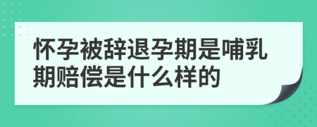 懷孕被辭退孕期是哺乳期賠償是什么樣的