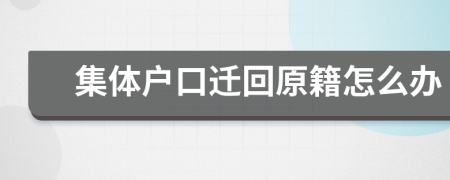 集體戶口遷回原籍怎么辦