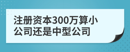 注冊資本300萬算小公司還是中型公司
