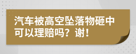 汽車被高空墜落物砸中可以理賠嗎？謝！