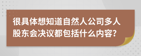 很具体想知道自然人公司多人股东会决议都包括什么内容？