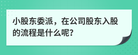 小股東委派，在公司股東入股的流程是什么呢？
