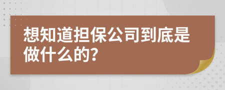 想知道擔保公司到底是做什么的？