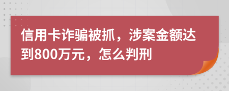 信用卡詐騙被抓，涉案金額達到800萬元，怎么判刑