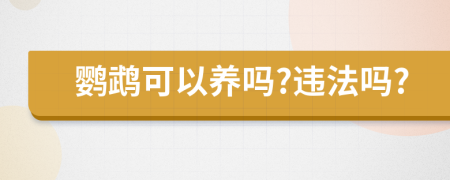 鸚鵡可以養(yǎng)嗎?違法嗎?