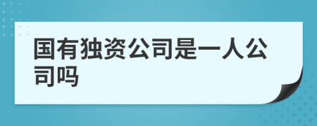 國有獨資公司是一人公司嗎