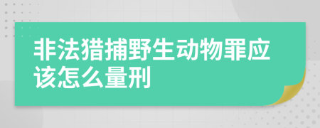 非法獵捕野生動物罪應該怎么量刑