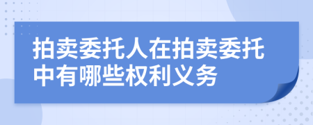 拍賣(mài)委托人在拍賣(mài)委托中有哪些權(quán)利義務(wù)